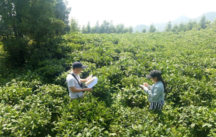 生态文明建设规划